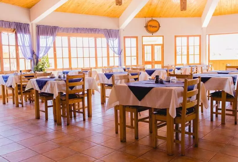 Fotos del hotel Iorana Tolache:  4