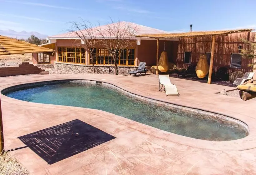 Fotos del hotel Iorana Tolache:  10