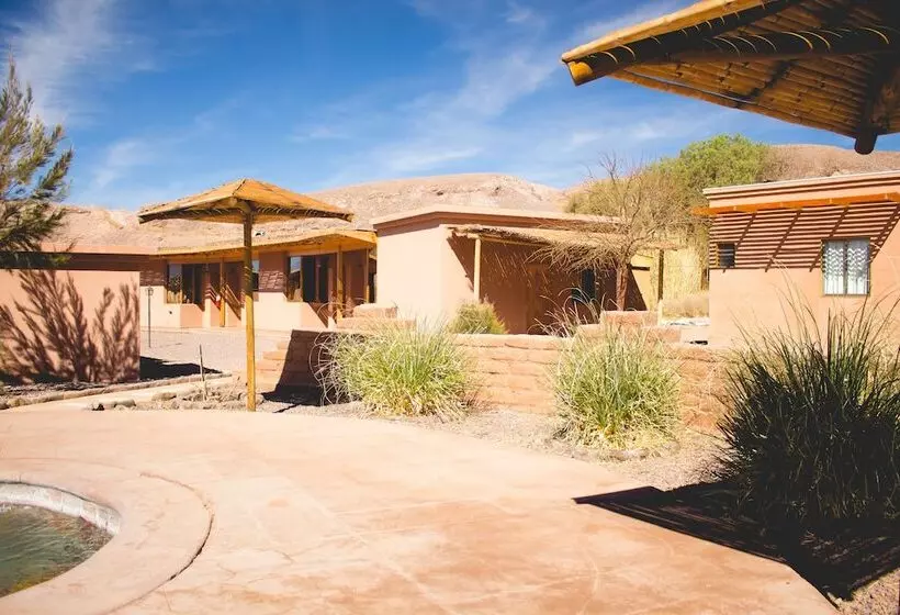 Fotos del hotel Iorana Tolache:  18