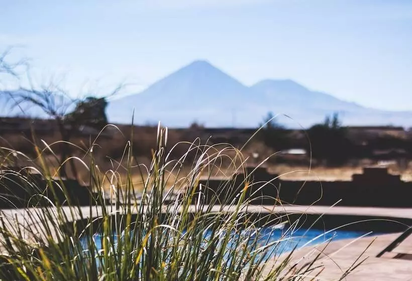 Fotos del hotel Iorana Tolache:  17