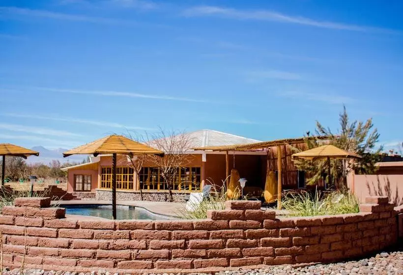 Fotos del hotel Iorana Tolache:  5