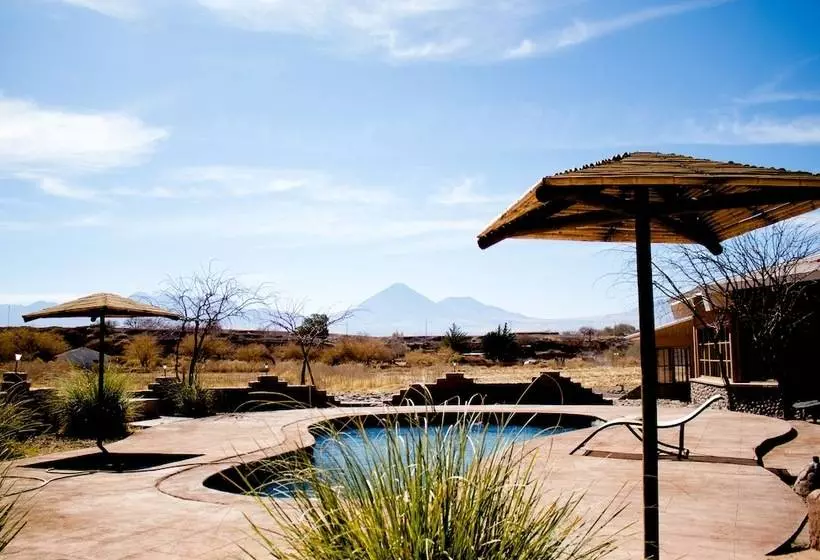 Fotos del hotel Iorana Tolache:  8