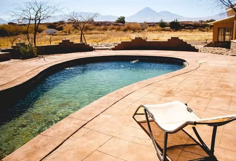 Fotos del hotel Iorana Tolache:  14