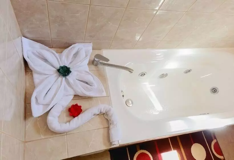 Fotos del hotel Iorana Tolache:  7