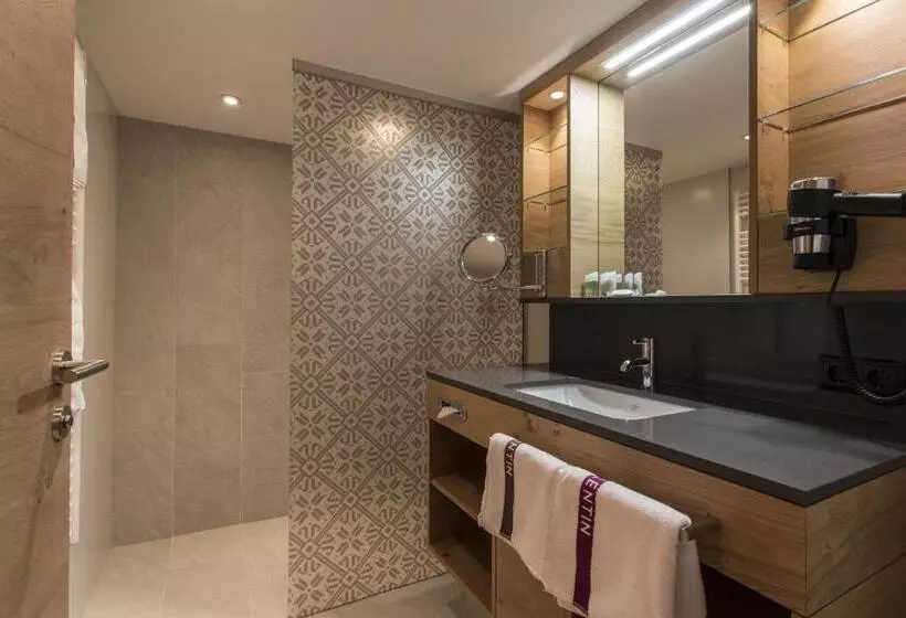 Fotos del hotel Valentin:  8