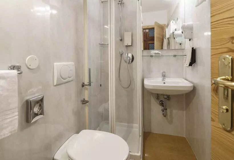 Fotos del hotel Olimpia:  7