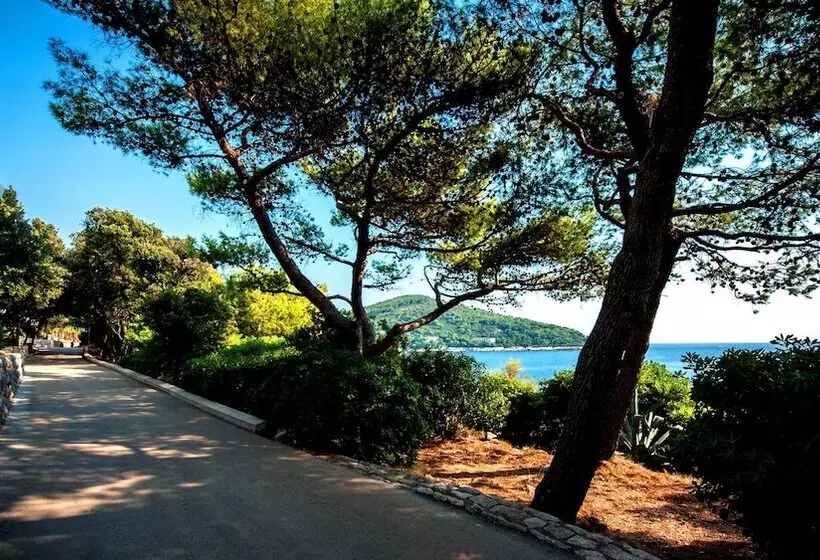 Fotos del hotel Royal Palm:  21