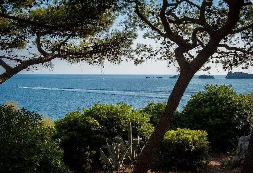 Fotos del hotel Royal Palm:  20