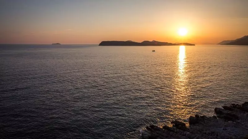 Fotos del hotel Royal Palm:  16