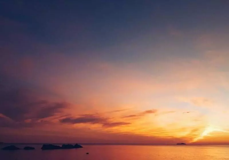 Fotos del hotel Royal Palm:  15