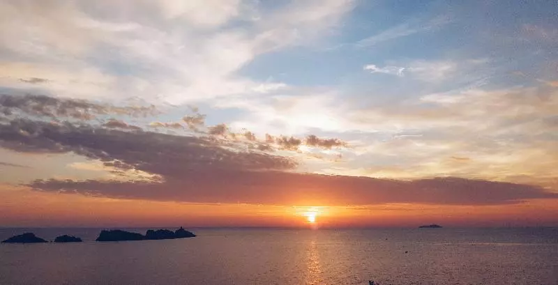 Fotos del hotel Royal Palm:  14