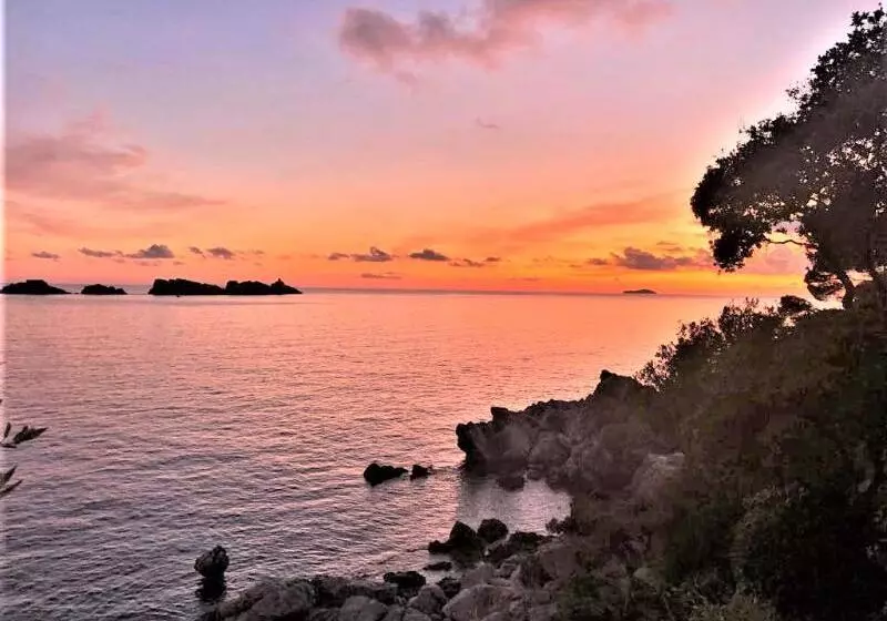 Fotos del hotel Royal Palm:  6