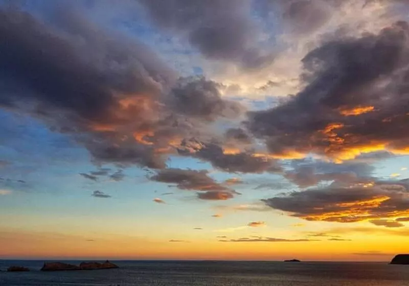 Fotos del hotel Royal Palm:  25