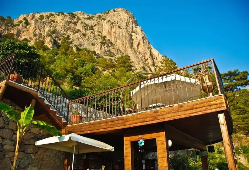 Fotos del hotel Lissiya:  10