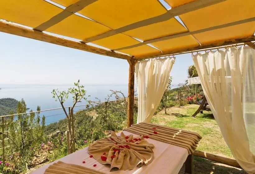 Fotos del hotel Lissiya:  25