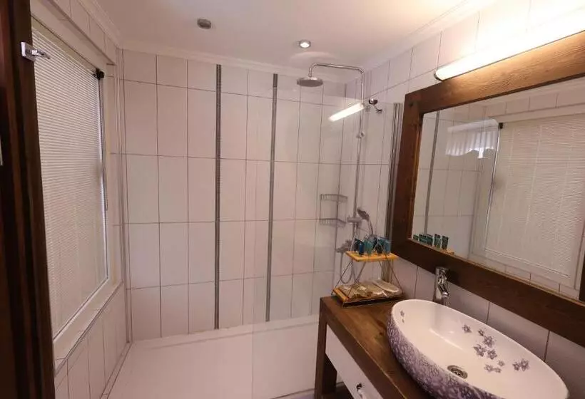 Fotos del hotel Lissiya:  14