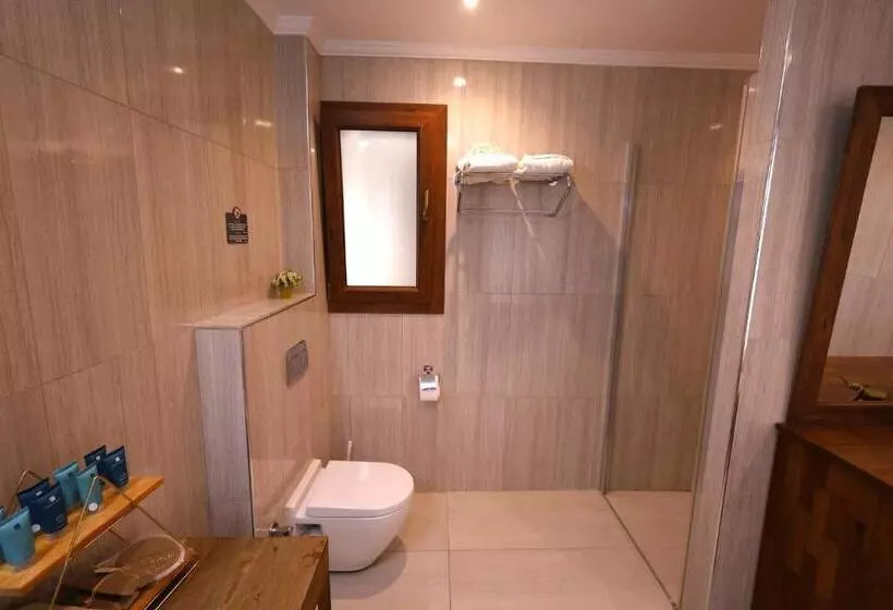 Fotos del hotel Lissiya:  5