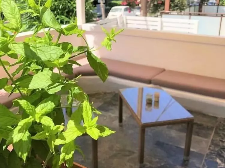 Fotos del hotel Mimosa Suites:  7