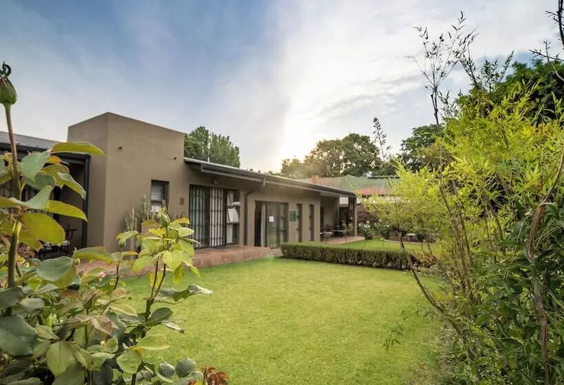 Fotos del hotel Murray Street 137 Guesthouse:  19