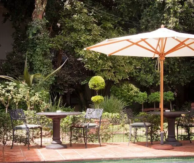 Fotos del hotel Murray Street 137 Guesthouse:  6