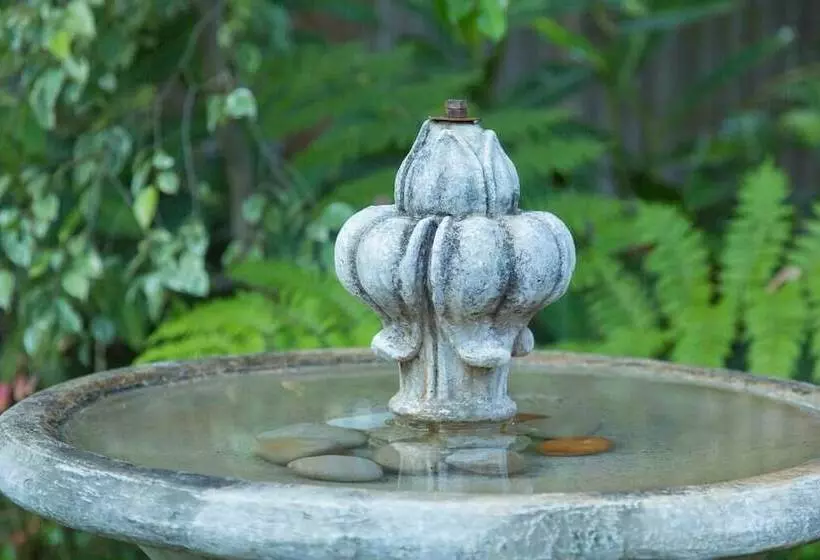 Fotos del hotel Murray Street 137 Guesthouse:  11