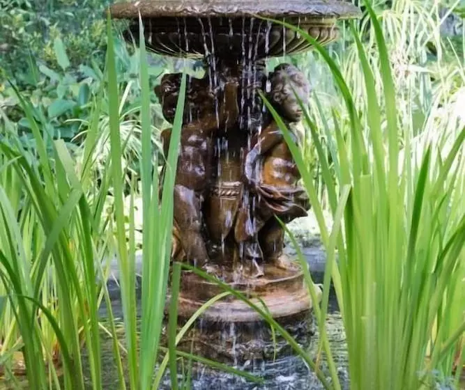 Fotos del hotel Murray Street 137 Guesthouse:  14