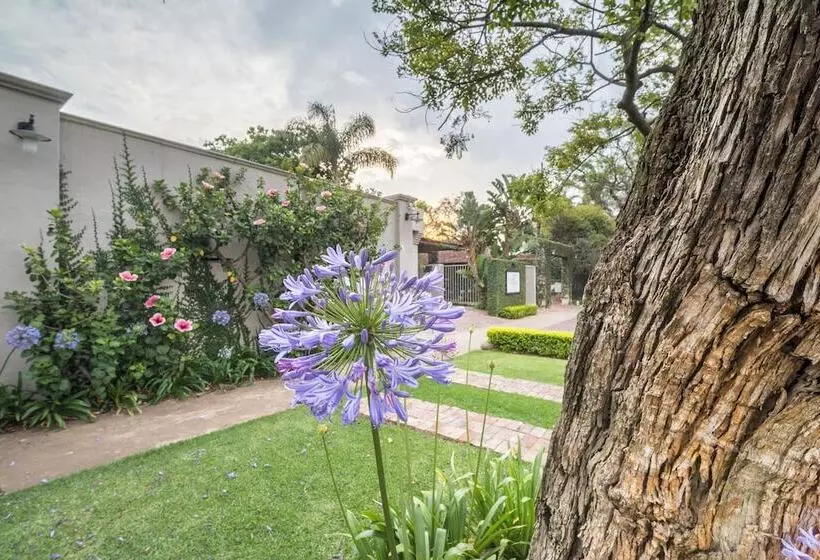 Fotos del hotel Murray Street 137 Guesthouse:  15