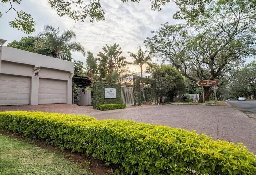 Fotos del hotel Murray Street 137 Guesthouse:  25