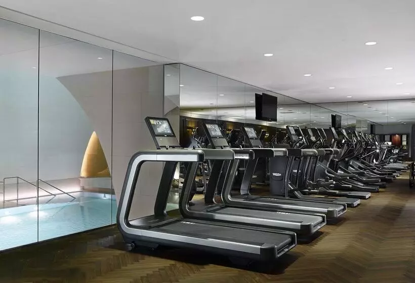 Fotos del hotel Park Hyatt Vienna:  3