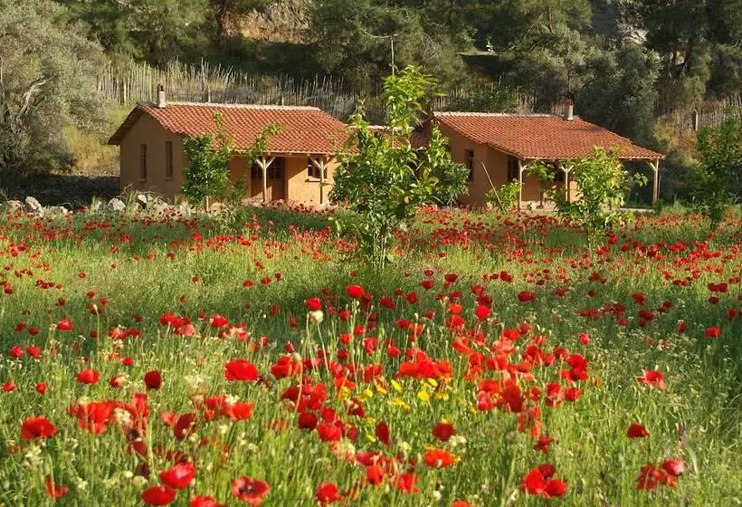 Fotos del hotel Pastoral Vadi:  19