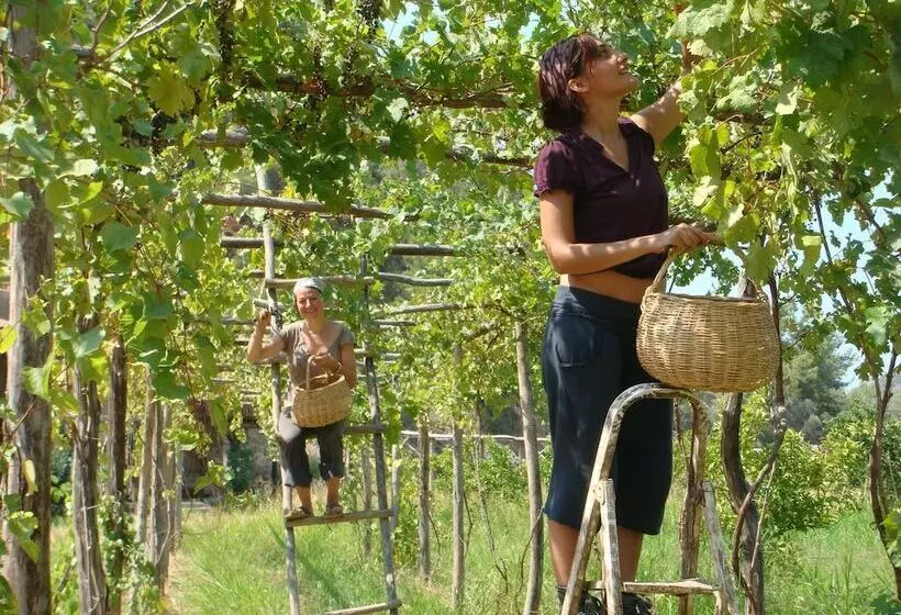 Fotos del hotel Pastoral Vadi:  11