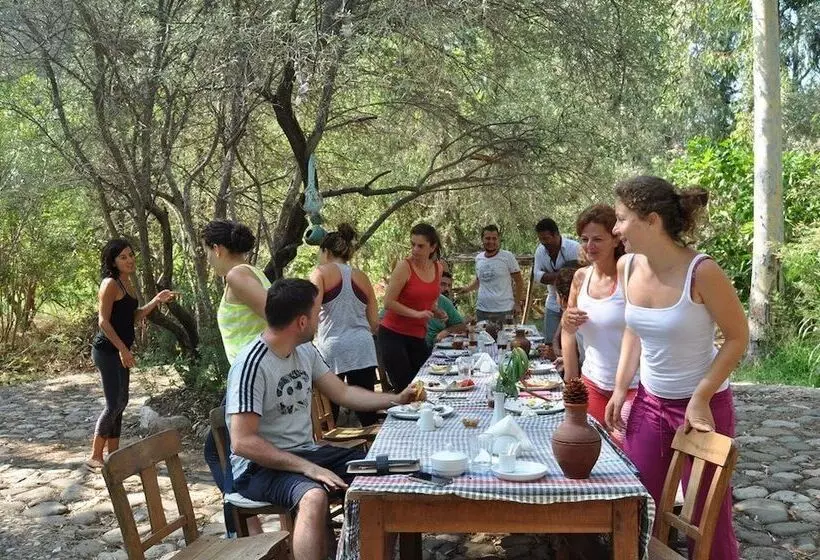 Fotos del hotel Pastoral Vadi:  20