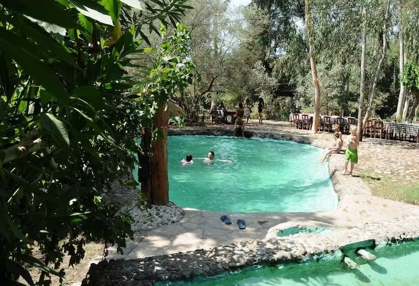 Fotos del hotel Pastoral Vadi:  10