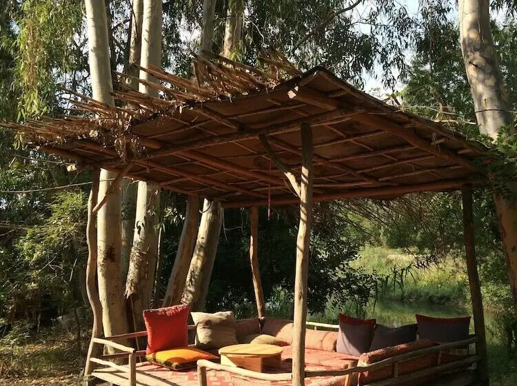 Fotos del hotel Pastoral Vadi:  6