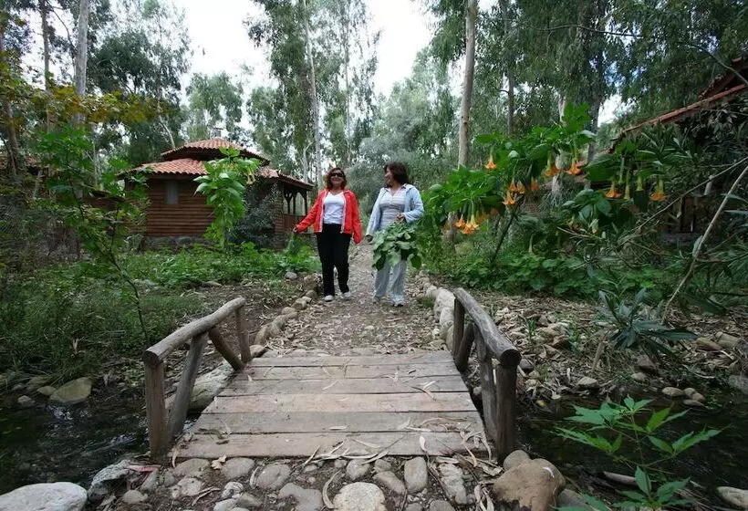 Fotos del hotel Pastoral Vadi:  23