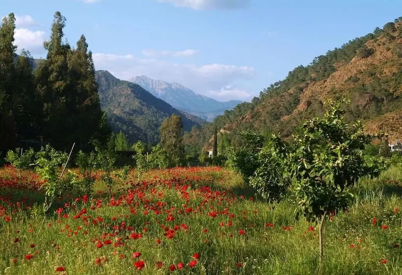 Fotos del hotel Pastoral Vadi:  14