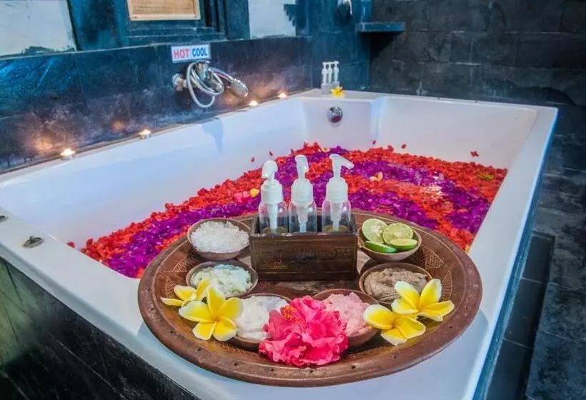 Fotos del hotel Abian Srama Hotel And Spa:  3