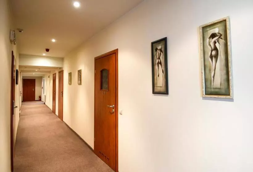 Fotos del hotel H31:  2