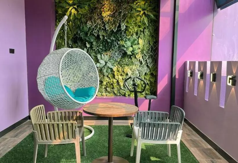 Fotos del hotel Oak Tree Urban:  4