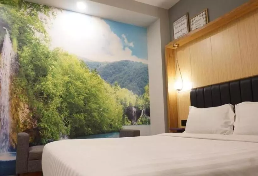 Fotos del hotel Oak Tree Urban:  25