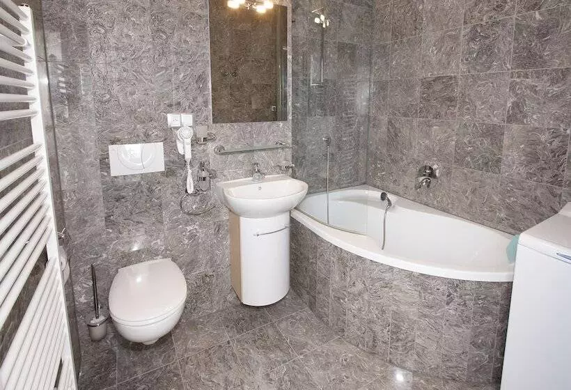 Fotos del hotel Residence U Cerne Veze:  24