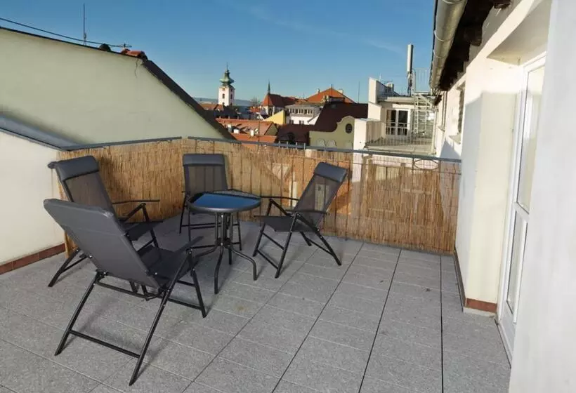 Fotos del hotel Residence U Cerne Veze:  8