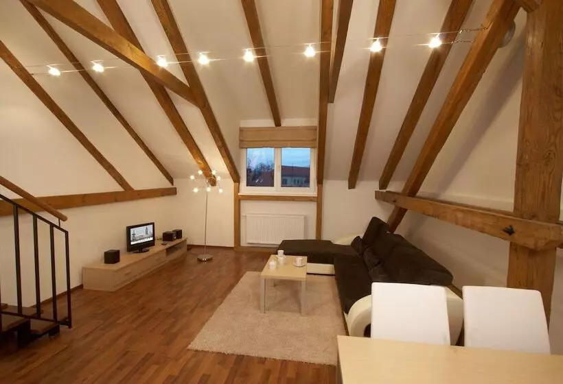 Fotos del hotel Residence U Cerne Veze:  20