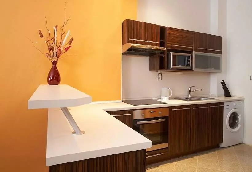 Fotos del hotel Residence U Cerne Veze:  9