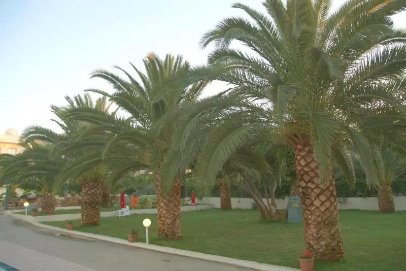 Fotos del hotel Theoni Apartments:  2