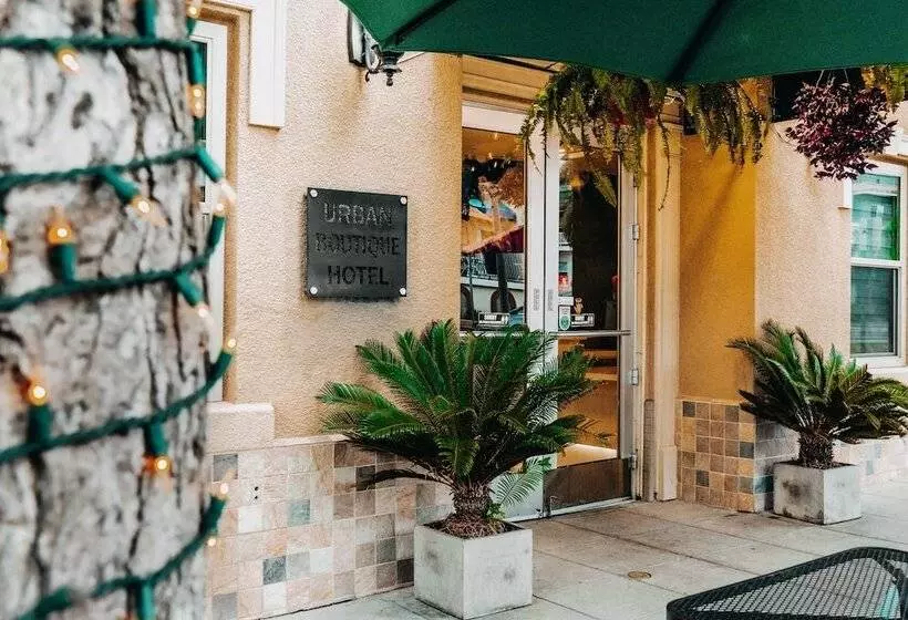 Fotos del hotel Urban Boutique:  12