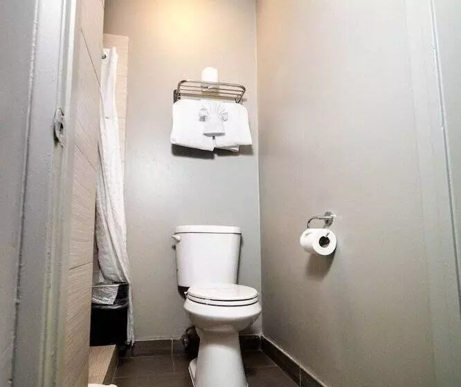 Fotos del hotel Urban Boutique:  5