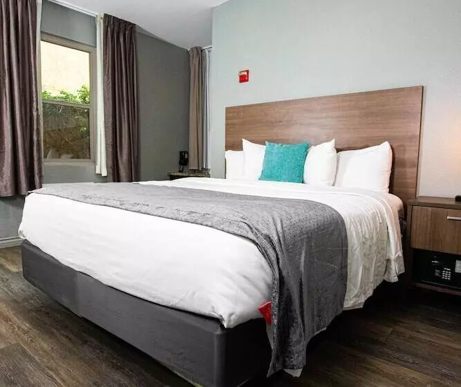 Fotos del hotel Urban Boutique:  2