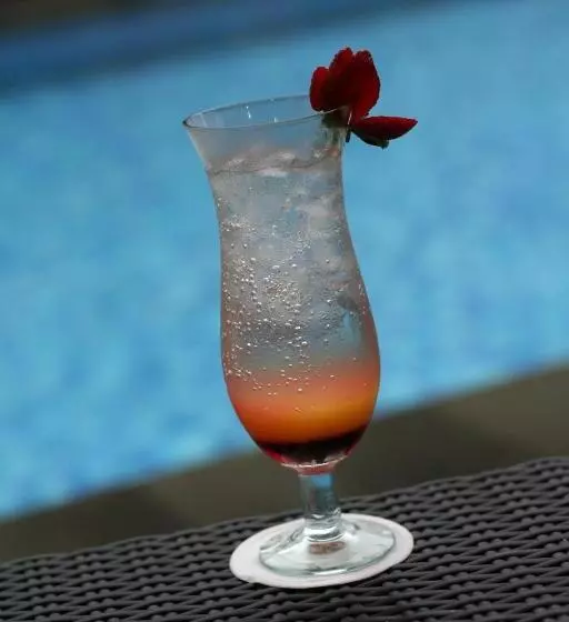 Fotos del hotel Arjuna:  7