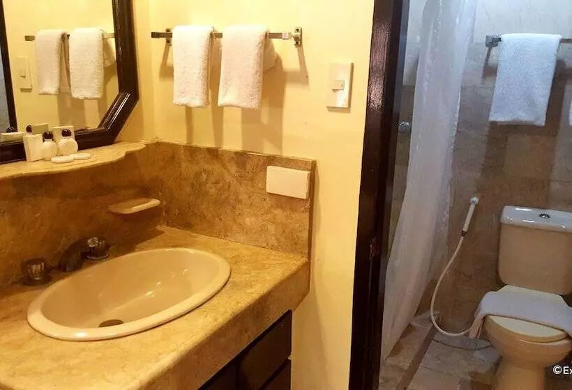 Fotos del hotel Lourdes Suites:  15